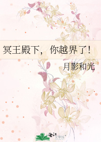 冥王殿下，你越界了！