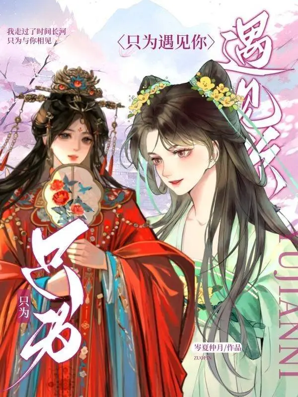 只为遇见你